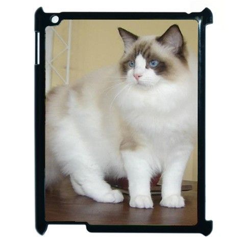 CAT KITTEN APPLE IPAD 2 TABLET COMPUTER BLACK COVER CASE 16GB 32GB