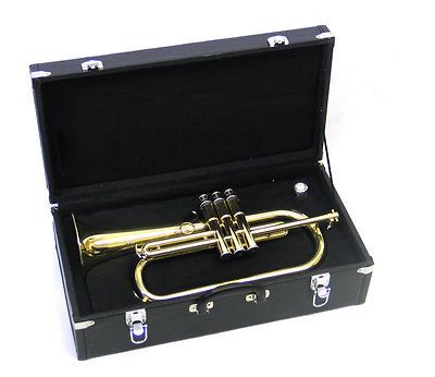 New E.F. Durand Brass Bb Piston Valve Flugel Horn w/Case & Mouthpiece