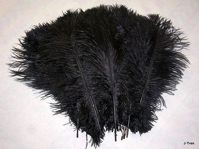 10 BLACK OSTRICH FEATHERS 13 15L GRADE *B*