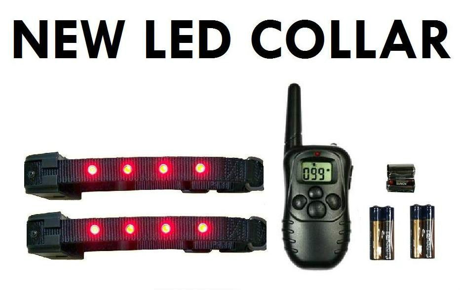 electronic dog training collars