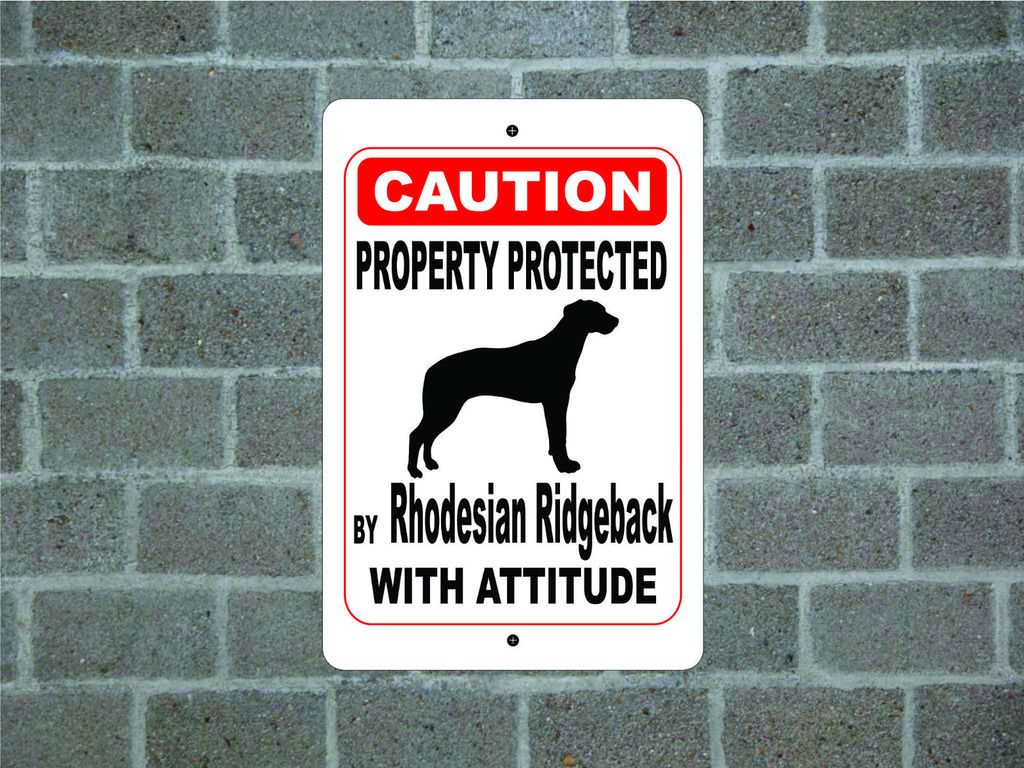 Property protected by Rhodesian Ridgeback dog with attitude metal