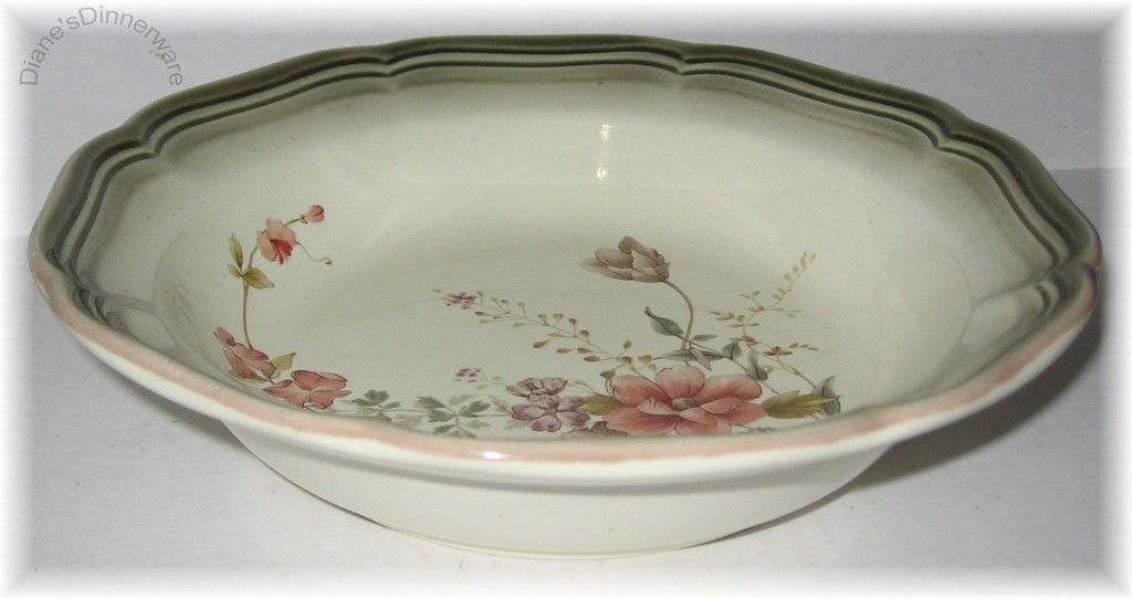 Autumn Vale Mikasa Country Estate Rim Soup Bowls 11